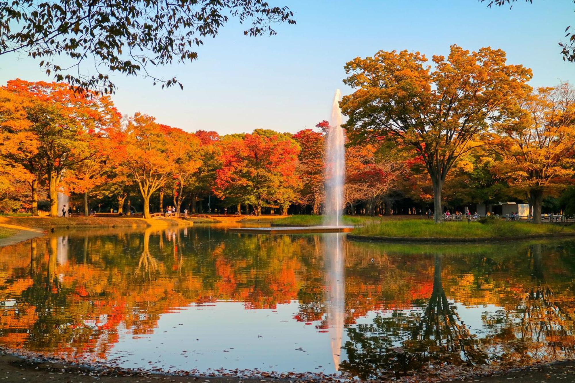 The Westin Tokyo Hotel Ngoại thất bức ảnh