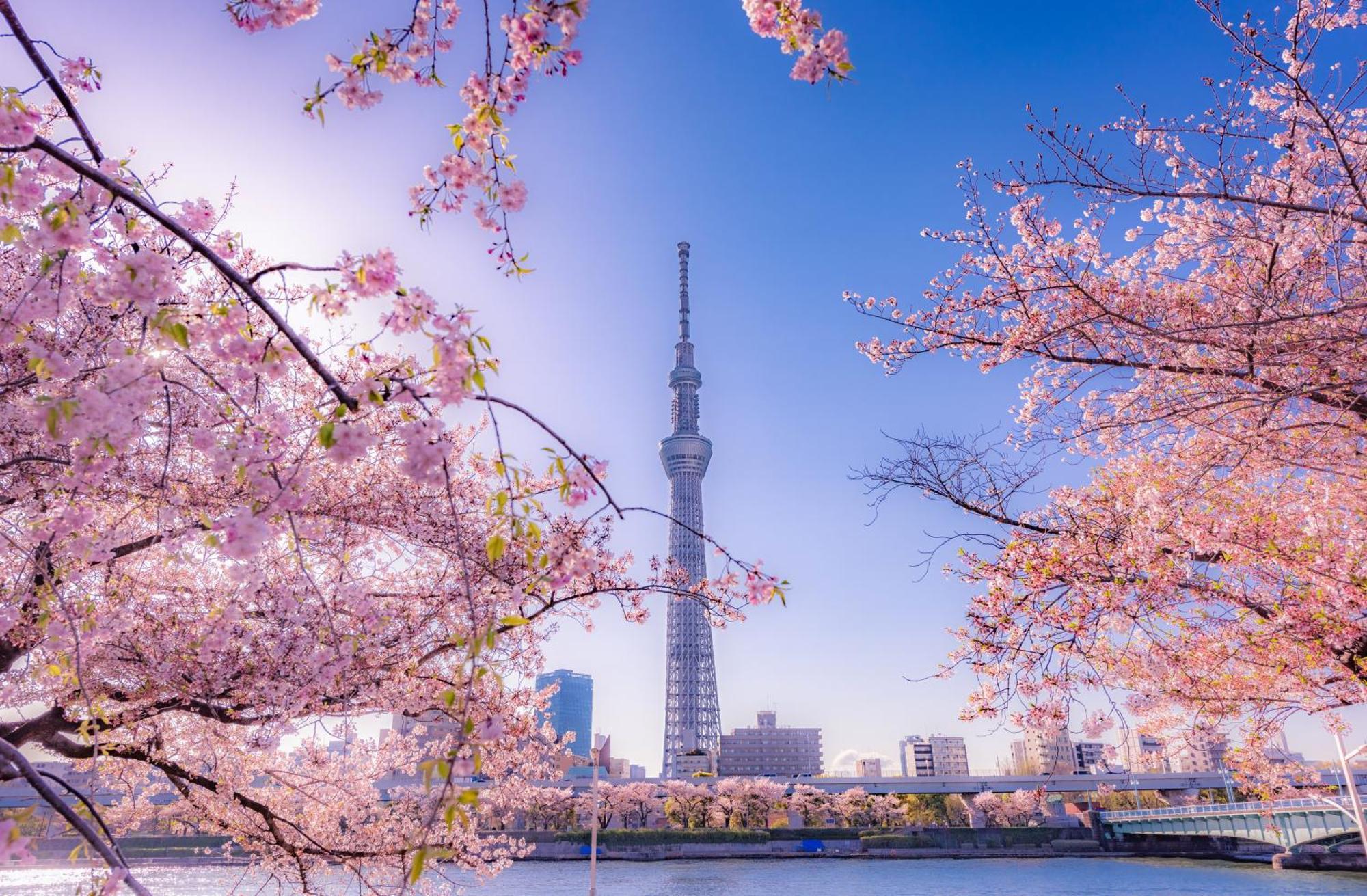 The Westin Tokyo Hotel Ngoại thất bức ảnh